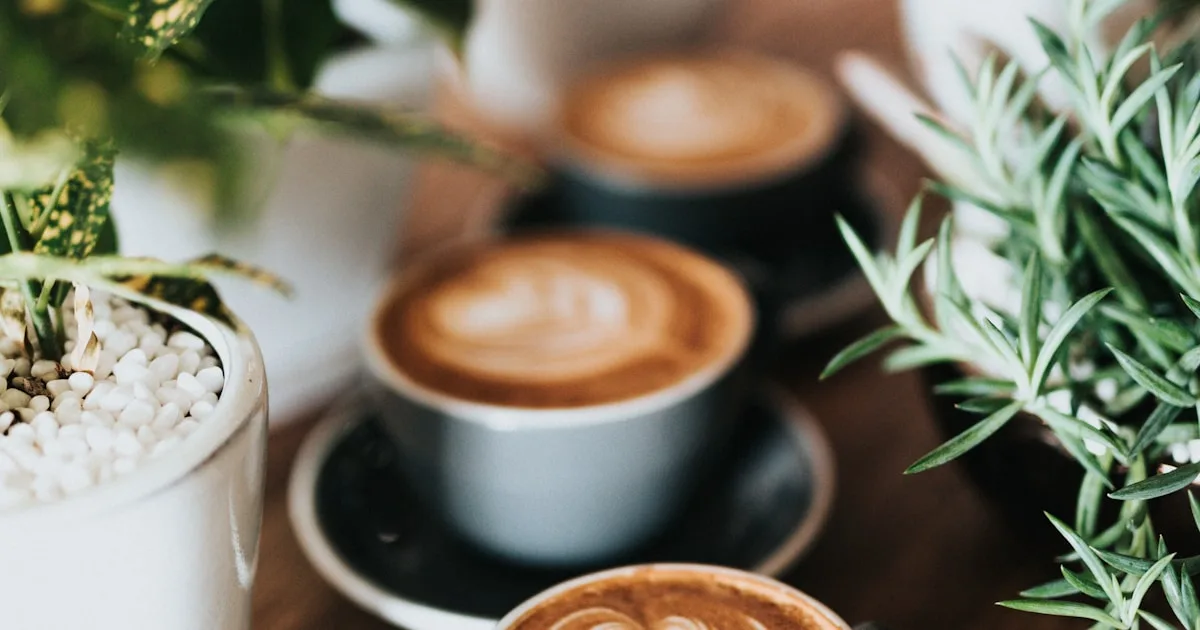 Türkiye'de 3. Dalga Kahve: Şehir Şehir En İyi Specialty Coffee Mekanları